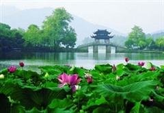 Primavera en Hangzhou