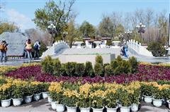 Primavera de Lhasa