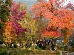 Noviembre de Suzhou