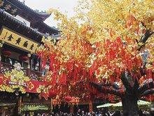 Febrero de Shanghai