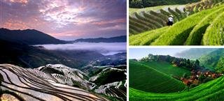 Longsheng