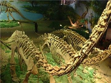 Museo de Dinosaurios de Zigong