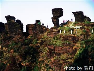 Montaña Fanjing