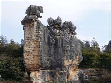Bosque de Piedra