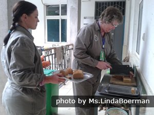 En train de faire des gâteaux pour les  pandas