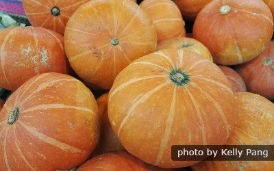 la fiesta de medio otoño