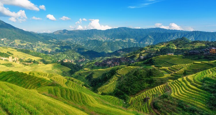 Terrazas de arroz de Guilin