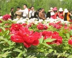 Jardín Nacional de Peonía